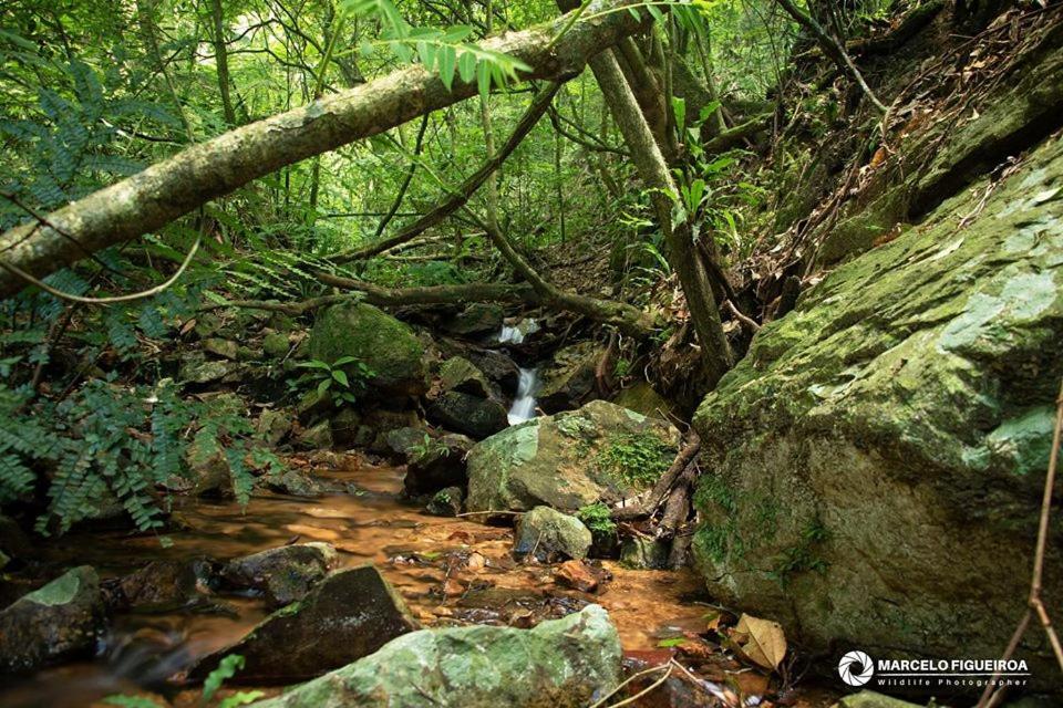 Sitio Serra Das Paineiras Villa Jundiaí Esterno foto